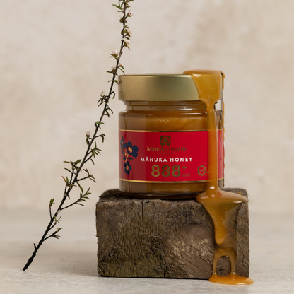 Miel de Manuka MGO 888+ (UMF 20+) – Édition limitée